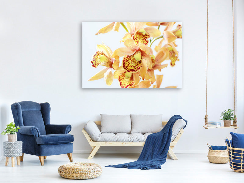 modern-4-piece-canvas-print-yellow-orchid