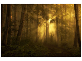 panoramic-3-piece-canvas-print-yellow-the-bigger-picture