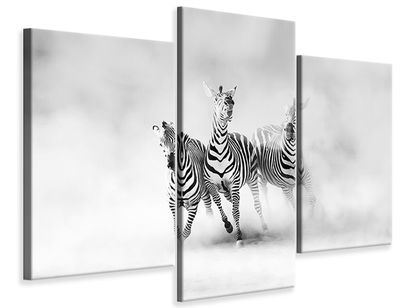 3-piece-canvas-print-zebras