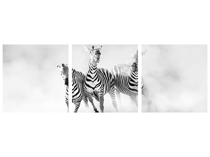 canvas-print-zebras