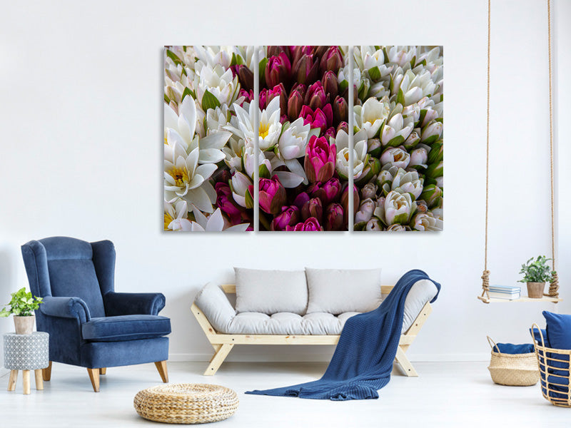 3-piece-canvas-print-a-bouquet-of-water-lilies
