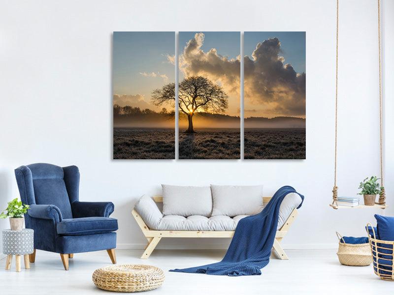 3-piece-canvas-print-a-lonely-tree