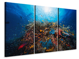 3-piece-canvas-print-apnea