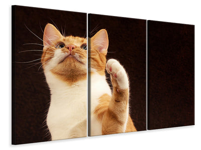 3-piece-canvas-print-attention-clever-cat