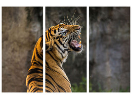 3-piece-canvas-print-attention-tiger