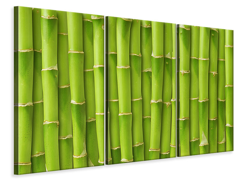 3-piece-canvas-print-bamboo-wall