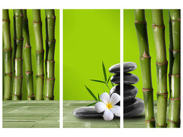 3-piece-canvas-print-bamboo