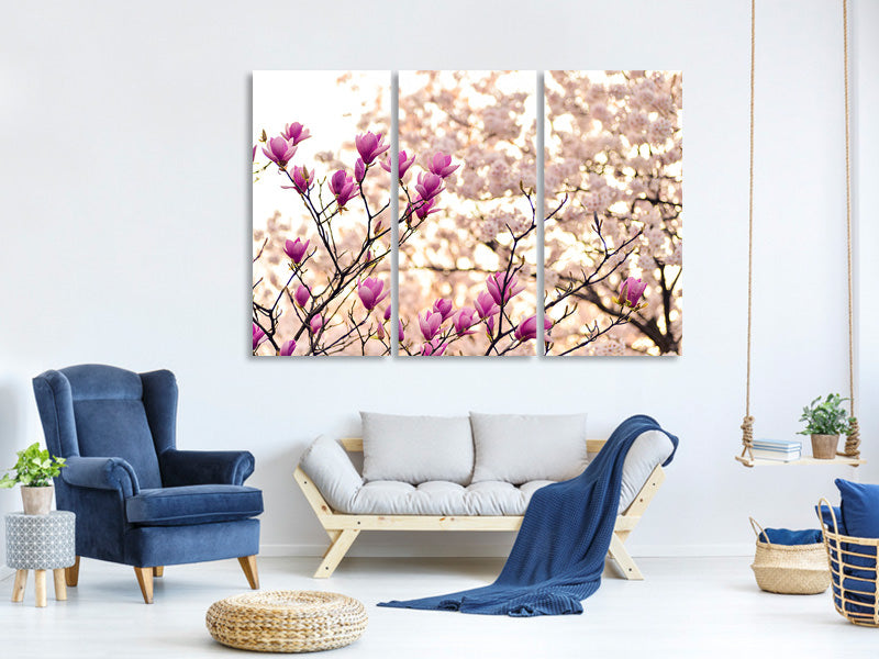 3-piece-canvas-print-beautiful-magnolia-xl