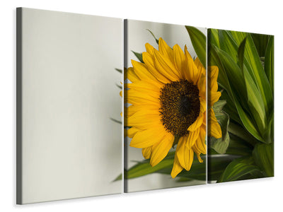 3-piece-canvas-print-beautiful-sunflower