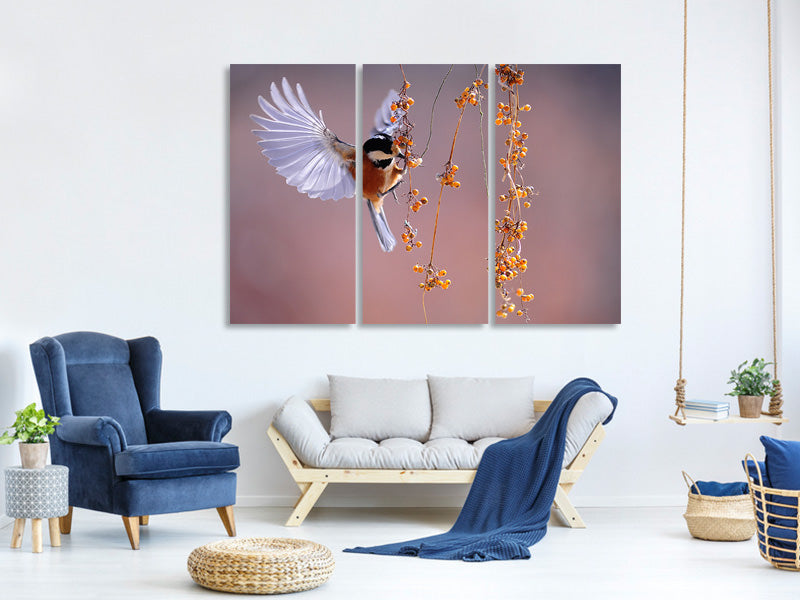 3-piece-canvas-print-bird-in-action