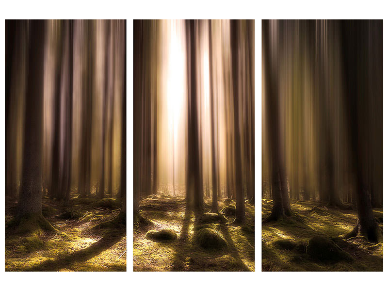 3-piece-canvas-print-breath-of-life