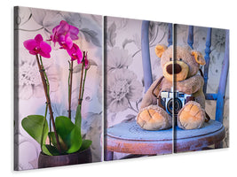 3-piece-canvas-print-camera-teddy-bear