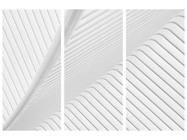 3-piece-canvas-print-canopy