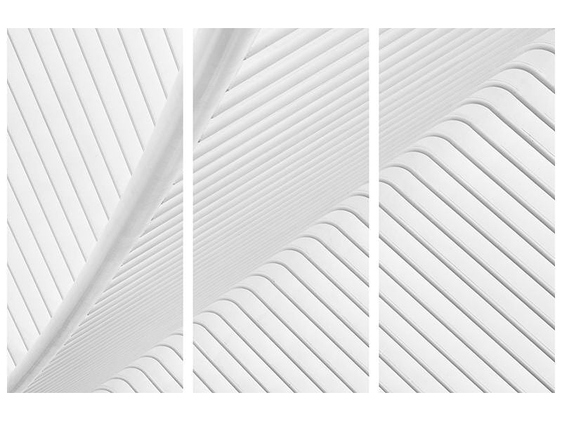 3-piece-canvas-print-canopy