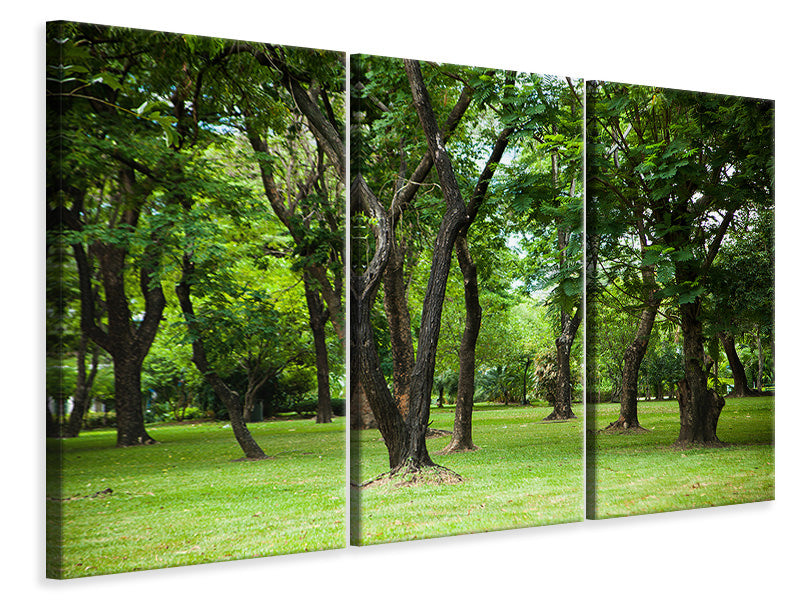 3-piece-canvas-print-cherry-garden