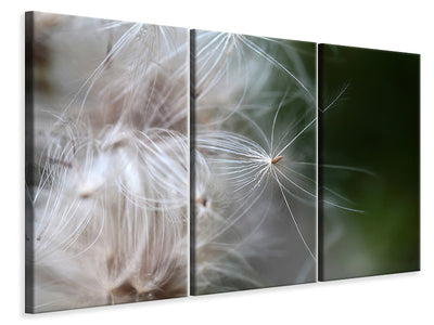 3-piece-canvas-print-close-up-flowers-fibers