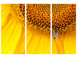 3-piece-canvas-print-close-up-yellow-bud