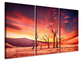 3-piece-canvas-print-colorful-desert
