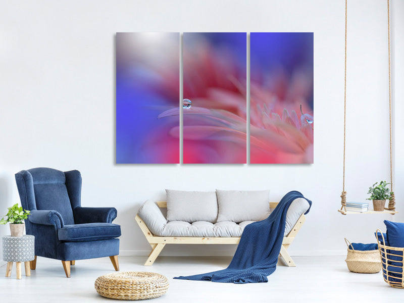 3-piece-canvas-print-colorful-explosion