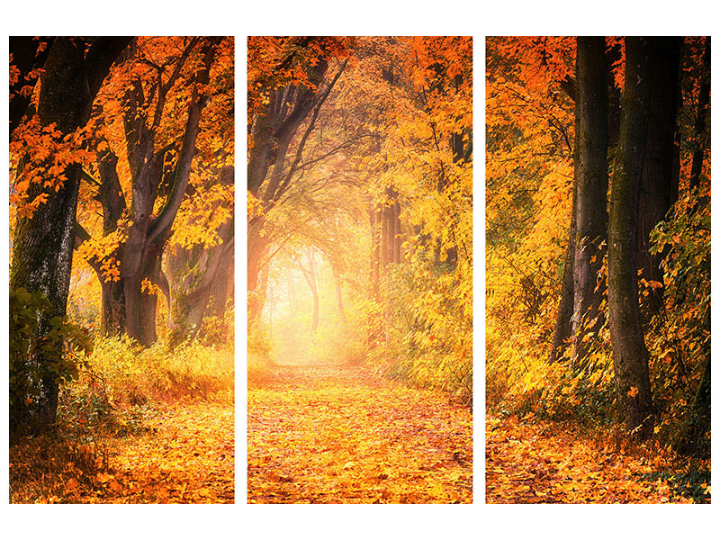 3-piece-canvas-print-colors-magnificent-forest