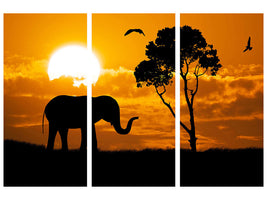 3-piece-canvas-print-dreamy-africa