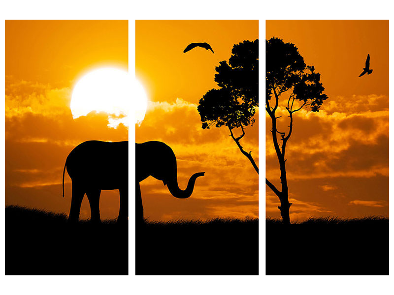 3-piece-canvas-print-dreamy-africa