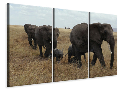 3-piece-canvas-print-elephant-family