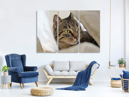 3-piece-canvas-print-favorite-cat