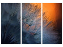 3-piece-canvas-print-feathers-p