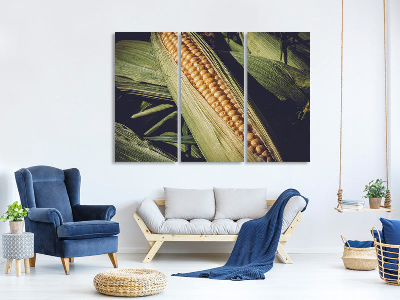 3-piece-canvas-print-fresh-sweetcorn
