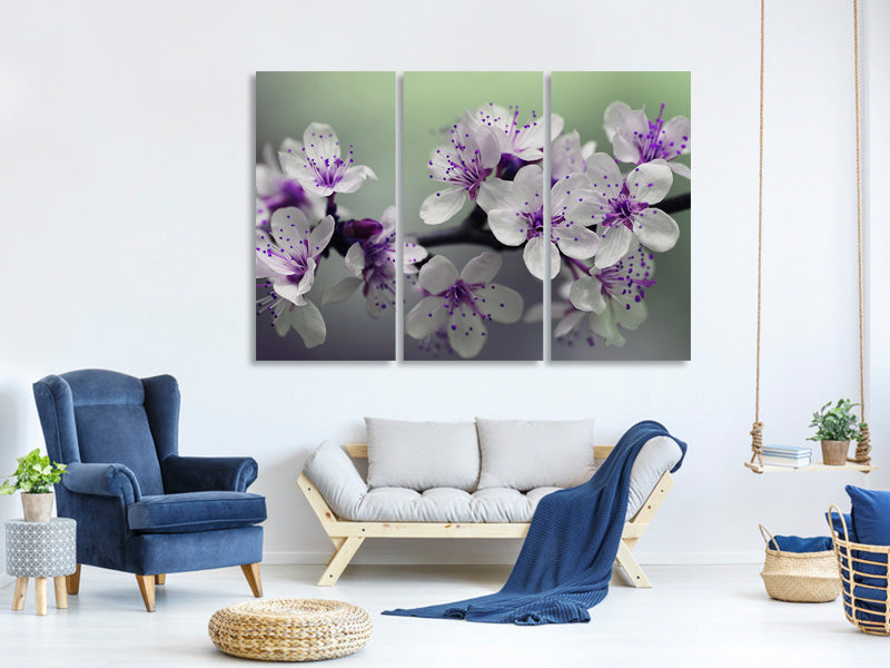 3-piece-canvas-print-heyday