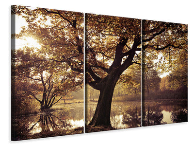 3-piece-canvas-print-landscape-park