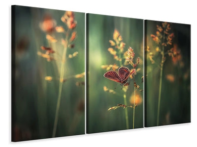 3-piece-canvas-print-last-light