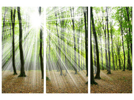 3-piece-canvas-print-magic-light-in-the-trees