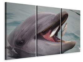 3-piece-canvas-print-mealtime-for-a-dolphin