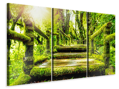 3-piece-canvas-print-moss