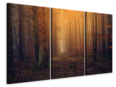 3-piece-canvas-print-mysterious-forest