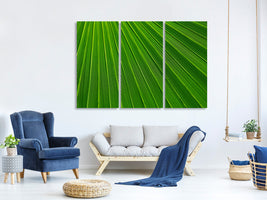 3-piece-canvas-print-palm-stripe-i