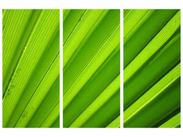 3-piece-canvas-print-palm-stripes-ii