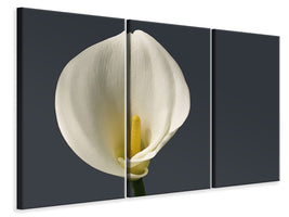 3-piece-canvas-print-proud-calla