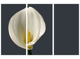 3-piece-canvas-print-proud-calla