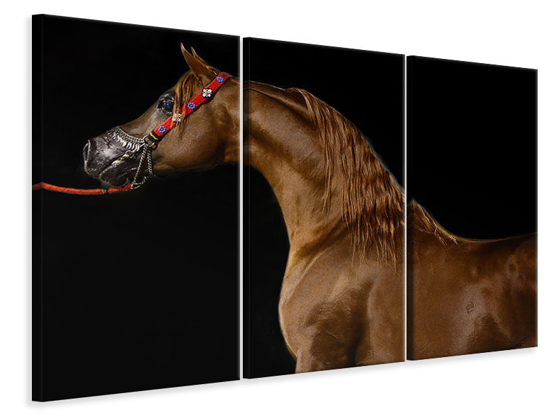 3-piece-canvas-print-proud-horse