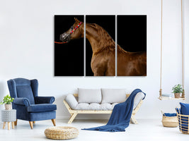 3-piece-canvas-print-proud-horse