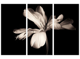 3-piece-canvas-print-simplicity