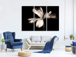 3-piece-canvas-print-simplicity