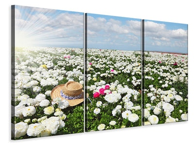 3-piece-canvas-print-spring-flower-meadow
