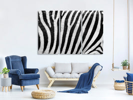 3-piece-canvas-print-strip-of-the-zebra