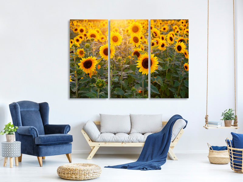 3-piece-canvas-print-sunflower-field