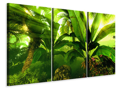 3-piece-canvas-print-sunrise-in-the-rainforest