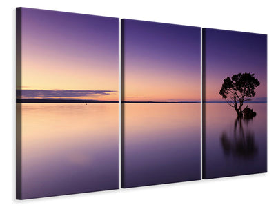 3-piece-canvas-print-sunset-on-the-tree-in-the-water